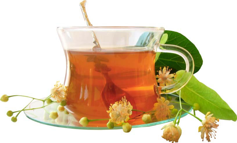 Nilgiri Botanical Teas